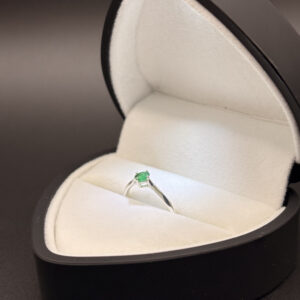 Anillo Verde Místico